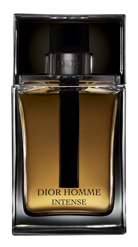 prada l'homme intense vs dior homme intense|dior homme perfume.